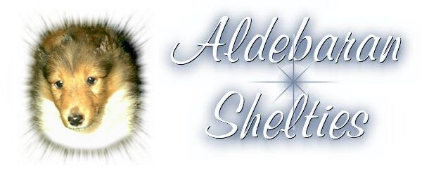 Aldebaran Shelties
